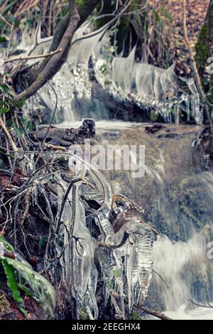 Eiszapfen, die auf Zweigen und Ästen wachsen, die über einem Bach durch Buchenwälder bei Stroud, Gloucestershire, Großbritannien, hingen Stockfoto