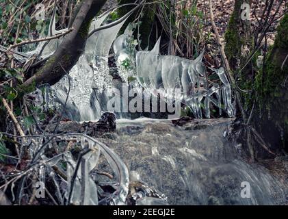 Eiszapfen, die auf Zweigen und Ästen wachsen, die über einem Bach durch Buchenwälder bei Stroud, Gloucestershire, Großbritannien, hingen Stockfoto