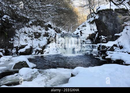 Wasserfall auf Cowlees (Bow Lee) Beck unter Summerhill Force im Winter, Teesdale, County Durham, Großbritannien Stockfoto