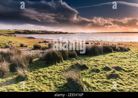 Colliford See am Bodmin Moor in Cornwall. Stockfoto