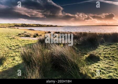 Colliford See am Bodmin Moor in Cornwall. Stockfoto