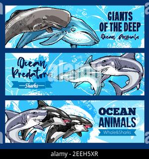 Ocean Riese räuberische Tiere Banner Set. Vektor-Design von Pottwal cachalot, Killerwal oder Orca und Hammerkopf oder weißen Hai und gezahnte preda Stock Vektor
