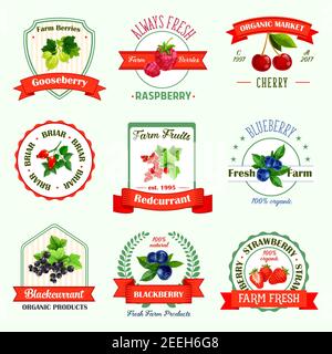 Symbole für Beeren oder Produktetiketten für Beerenkonfitüre oder Saft. Vector isoliert Satz von Bio-Stachelbeere, Himbeere, Kirsche oder frische Bauernhof Briar, rote Johannisbeere oder BL Stock Vektor