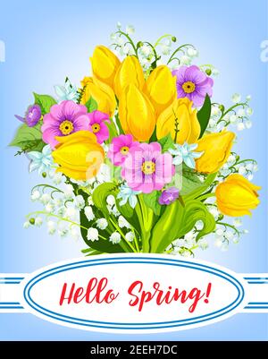 Hello Spring Vektor-Poster mit Blumenstrauß von blühenden Frühlingsblumen von Tulpen, Krokussen oder Narzissen, Lilienblüten und Narzissen. Frühling gr Stock Vektor