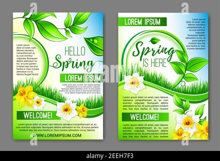 Willkommen Frühling Vektor-Poster mit gelben Narzissen und weißen Narzissen. Frühlingsblumen Bouquet und grün blühende Natur Gras und Pflanzen Ranke Stock Vektor