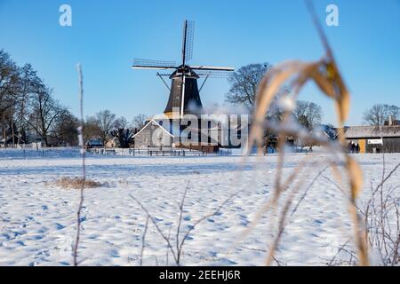 Pelmolen Ter Horst, Rijssen bedeckt von verschneiten Landschaften in Overijssel Niederlande, historische Windmühle im Winter mit weißer Landschaft. Alte Holzwindmühle in Holland Stockfoto