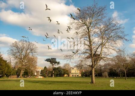 London - Walpole Park, ein großer öffentlicher Park von Pitzhanger Manor in Ealing, West London Stockfoto