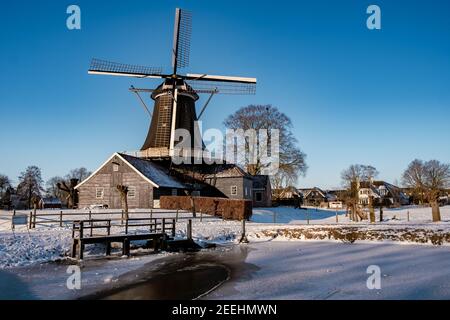 Pelmolen Ter Horst, Rijssen bedeckt von verschneiten Landschaften in Overijssel Niederlande, historische Windmühle im Winter mit weißer Landschaft. Alte Holzwindmühle in Holland Stockfoto