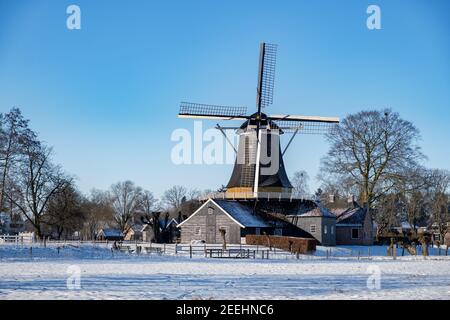Pelmolen Ter Horst, Rijssen bedeckt von verschneiten Landschaften in Overijssel Niederlande, historische Windmühle im Winter mit weißer Landschaft. Alte Holzwindmühle in Holland Stockfoto