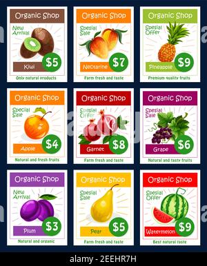 Obst Preiskarten von exotischen Kiwi, Nektarine Pfirsich oder tropische Ananas und saftigen Apfel, Granat oder Traube und Pflaume, Birne und Wassermelone. Vektorset für Stock Vektor