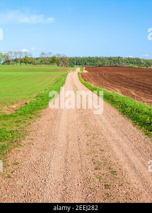 Gerade Feldweg in der Landschaft Stockfoto