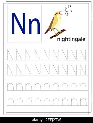 Ein Arbeitsblatt für Kinder mit dem Buchstaben N zum Erlernen des englischen Alphabets. Stock Vektor