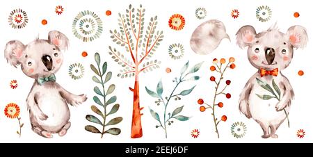 Baby cute koala. Vector Watercolor nursery cartoon australian animals, tropical trees, leaves. Stock Vektor