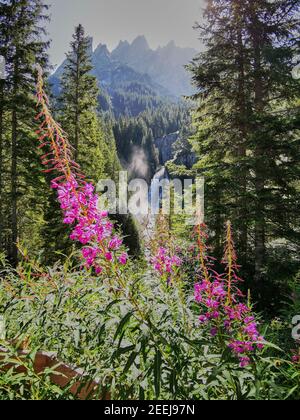 Herrlicher Blick auf den schönen und einzigartigen Reichenbach-Fall Feder Stockfoto