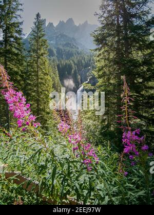 Herrlicher Blick auf den schönen und einzigartigen Reichenbach-Fall Feder Stockfoto