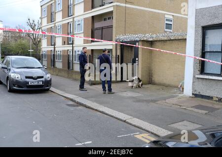 LONDON - 13. MÄRZ 2019: Polizei mit einem Sniffer-Hund sucht nach ausrangierten Waffen nach einem Messerangriff in der Nähe der U-Bahnstation Leyton in East London Stockfoto