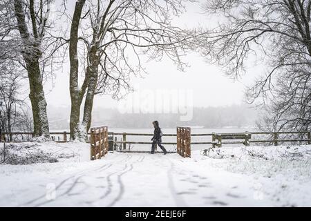 Einzelliger anonymer Pendler, der während des Schneesturms zur Arbeit geht Und heftiger Schneesturm, der sich während der Bernsteinwarnung warm einwickelte Mit tiefem Schnee Stockfoto