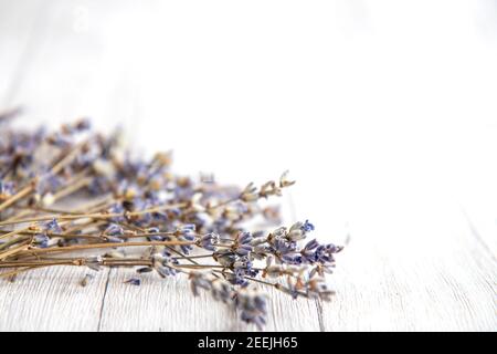 Lavendelblüten auf weißem Hintergrund. Getrocknete Blüten. Seitenansicht Stockfoto