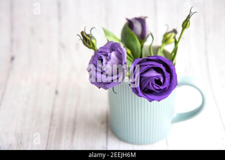 Schöne lila Rosen in einer blauen Tasse auf einem hellen Hintergrund. Nahaufnahme. Hintergrund mit Kopierbereich Stockfoto