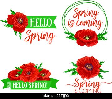 Frühling Blumensträuße von roten Blumen mit Frühlingsferien Zitate von Gruß und Wünsche. Hello Spring Vektor-Design von floral Bund Mohn BL Stock Vektor