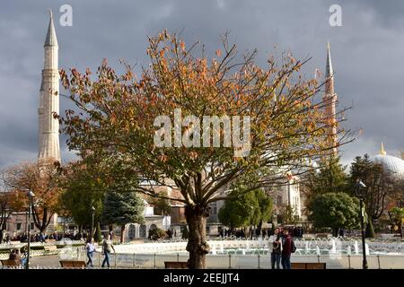 Blick auf die Hagia Sofia Heilige große Moschee in Istanbul Stockfoto