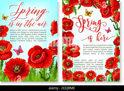 Hallo Frühling Grußkarte mit Blumenrahmen Rand. Blumenkranz aus roten Mohnblumen, grünem Blatt und Gras mit fliegendem Schmetterling für den Frühling Stock Vektor