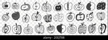 Apfelfrüchte mit Muster Doodle Set. Sammlung von handgezeichneten Apfel essbare Früchte in Hälften mit verschiedenen Mustern geschnitten Punkte Kurven Linien Sterne isoliert auf transparentem Hintergrund Stock Vektor