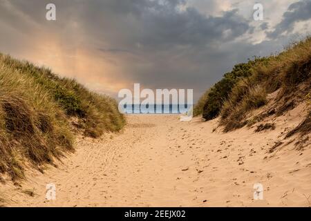 Sandiger Weg zum Strand zwischen den Dünen an der Ostsee in Jütland, Dänemark Stockfoto