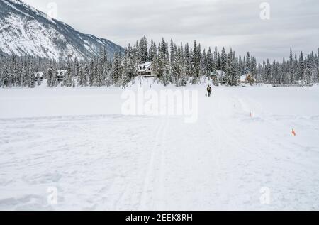 Ein Mann geht mit einem Hund über den gefrorenen Emerald Lake im Yoho National Park, British Columbia, Kanada Stockfoto
