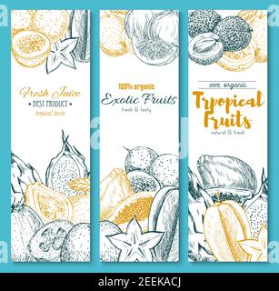 Exotische tropische Früchte Skizze Banner Set für Saft. Vector Bio Rambutan, Papaya oder Mango und Orangenpomelo, Mangostan oder Durian und Feijoa, Natu Stock Vektor