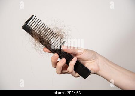 Weibliche Hand hält einen schwarzen Kamm mit Fetzen von gefallen Haare aus dem Kopf Stockfoto