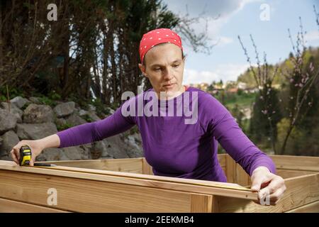 Frau Zimmermann Messung Holzbrett für ein erhöhtes Gartenbett. DIY-Konzept. Starke Frau. Stockfoto