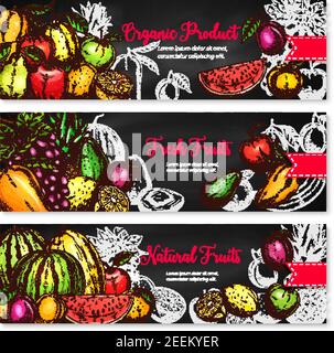 Früchte Banner von frischen Wassermelone, Melone oder Avocado und Apfel, Bauernhof Ernte Birne, Pfirsich oder Pflaume und tropische Ananas oder exotische Kiwi und Orange für Stock Vektor