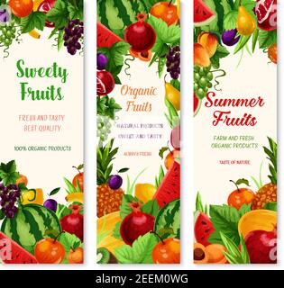 Frische Früchte Banner für Sommer Bauernhof Obstmarkt. Vektor-Set von exotischen Ananas, Garten Apfel oder Wassermelone und Melone, Mango oder Papaya und Avocado, Stock Vektor