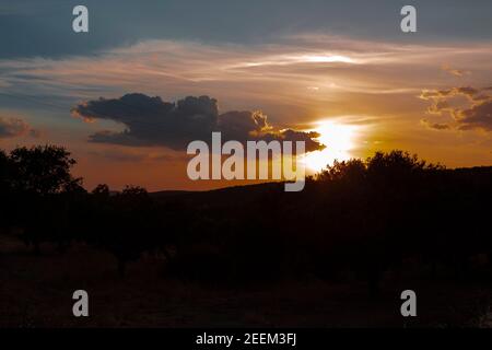 Schöne Paare, Felder und Landschaften der Cordoba Berge in Spanien. Foto aufgenommen im Monat Juli. Stockfoto