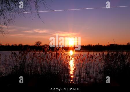 Schöner Sonnenaufgang über dem Wasser mit Pampagras und Schilf im Vordergrund. Sonnenlicht und Reflexion von Strahlen in einem See. Stockfoto