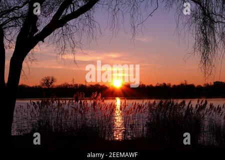 Schöner Sonnenuntergang oder Sonnenaufgang mit Blick auf einen See. Ländliche Szene mit Silhouette der Trauerweide im Vordergrund. Reflexion des Sonnenlichts im Wasser. Stockfoto