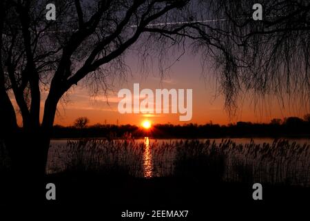 Schöner Sonnenuntergang oder Sonnenaufgang mit Blick auf einen See. Ländliche Szene mit Silhouette der Trauerweide im Vordergrund. Reflexion des Sonnenlichts im Wasser. Stockfoto
