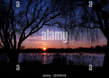Schöner Sonnenuntergang oder Sonnenaufgang mit Blick auf einen See. Ländliche Szene mit Silhouette der Trauerweide im Vordergrund. Reflexion des Sonnenlichts im Wasser. Stockfoto