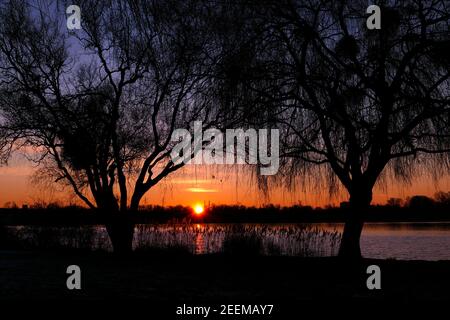 Schöner Sonnenuntergang oder Sonnenaufgang mit Blick auf einen See. Ländliche Szene mit Silhouette der Trauerweide im Vordergrund. Reflexion des Sonnenlichts im Wasser. Stockfoto
