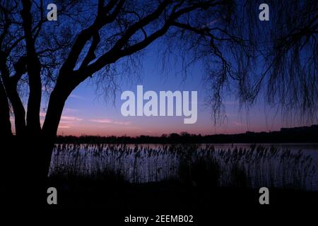Schöner Sonnenuntergang oder Sonnenaufgang mit Blick auf einen See. Ländliche Szene mit Silhouette der Trauerweide im Vordergrund. Stockfoto