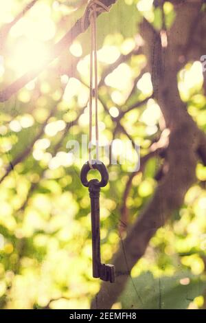 Antiker schmiedeeiserner Schlüssel, der mit einer Schnur von einem Baum hängt. Stockfoto