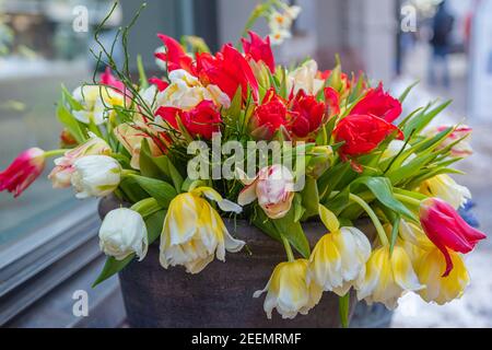 Bunte Tulpenstrauß auf der Straße in der Nähe eines Schaufensters. Winterzeit. Hochwertige Fotos Stockfoto