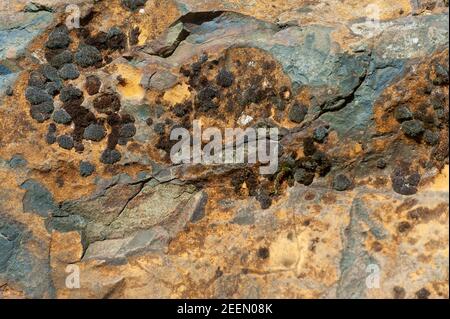 Großes Hintergrundbild von braunem Moos, das auf Sandsteinfelsen wächst. Stockfoto