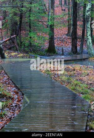 Landschaftsansicht der Promenade beim Wandern im Regen und Nebel im Bays Mountain Park in Kingsport, Tennessee Stockfoto