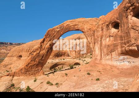 Der Wanderer von Corona Arch geht während einer 3 Meilen langen Rundtour entlang des Sandsteinfelsen in der Nähe von Arches und Canyonlands National Park, Ut, unter den Bogen Stockfoto