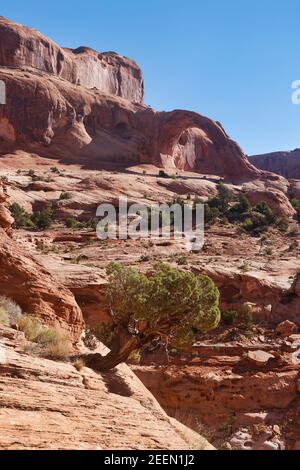 Corona Arch gesehen während einer 3 Meilen Rundtour Wanderung entlang der Sandsteinfelsen in der Nähe von Arches und Canyonlands National Park, Utah. Stockfoto