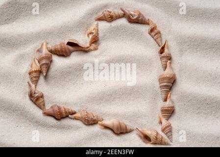 Muscheln in Form eines Herzens auf gelegt Welliger Sand Stockfoto