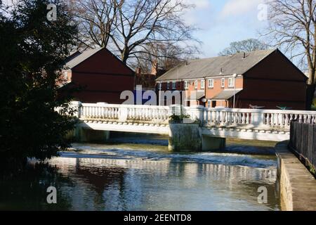 Der Fluss Witham hohen Niveau nach jüngsten regen und Schnee. Wyndham Park, Grantham, Lincolnshire, England Stockfoto