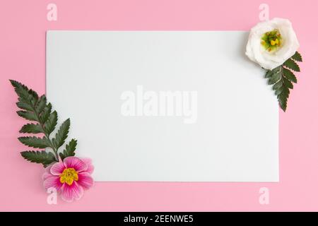 Weißer Kopierraum mit Blumen flach legen conecpt auf rosa Hintergrund Stockfoto